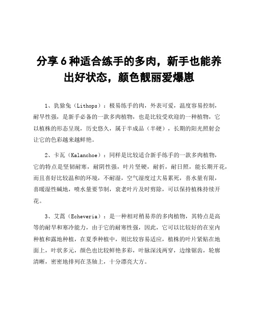 分享6种适合练手的多肉,新手也能养出好状态,颜色靓丽爱爆崽