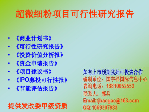 超微细粉项目可行性研究报告(精)