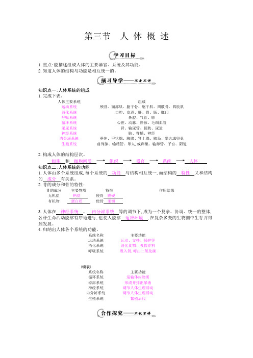 七年级生物下册第八章第三节《人体概述》导学案