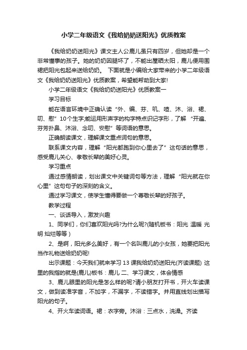 小学二年级语文《我给奶奶送阳光》优质教案