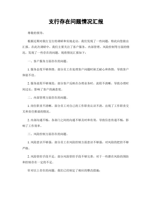 支行存在问题情况汇报