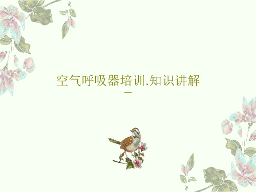 空气呼吸器培训.知识讲解PPT文档共28页