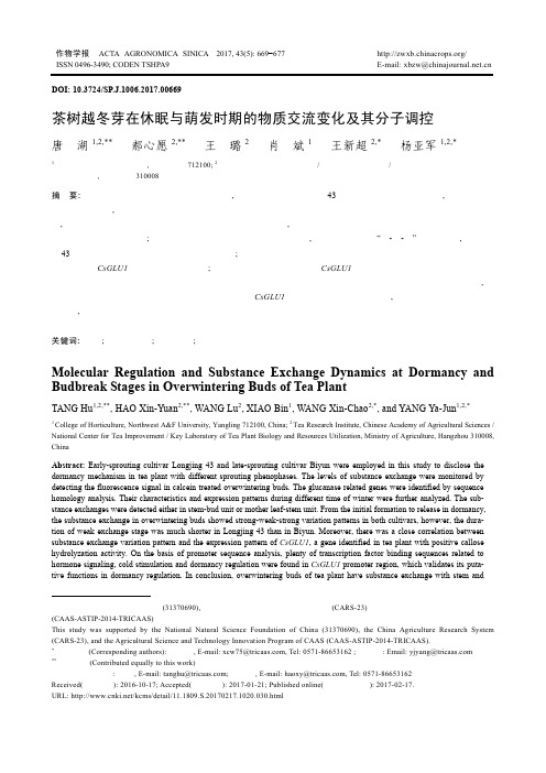 茶树越冬芽在休眠与萌发时期的物质交流变化及其分子调控