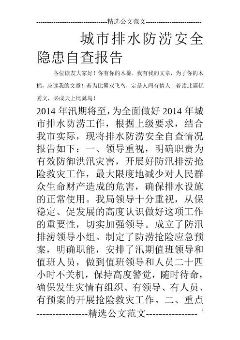 城市排水防涝安全隐患自查报告_0