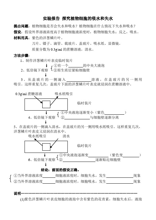 实验报告：探究植物细胞的吸水和失水