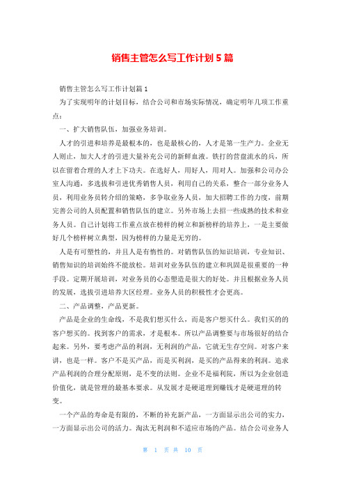 销售主管怎么写工作计划5篇