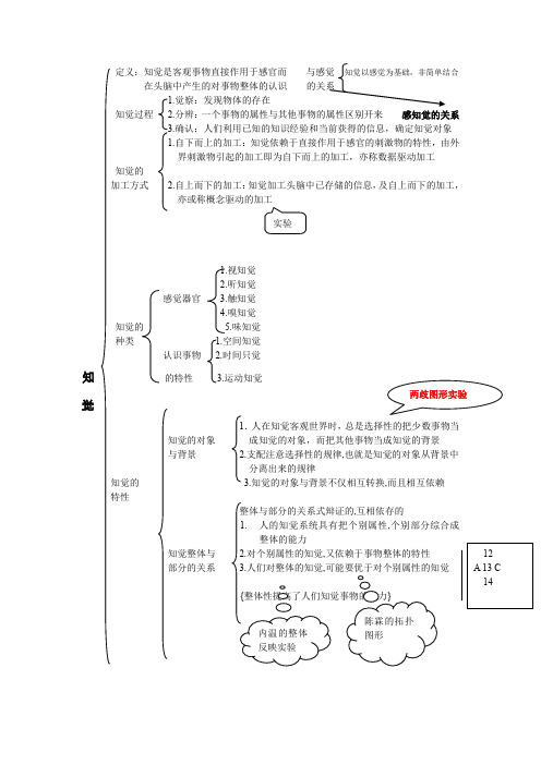 普通心理学 知觉 大纲