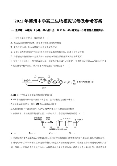 2021年德州中学高三生物模拟试卷及参考答案