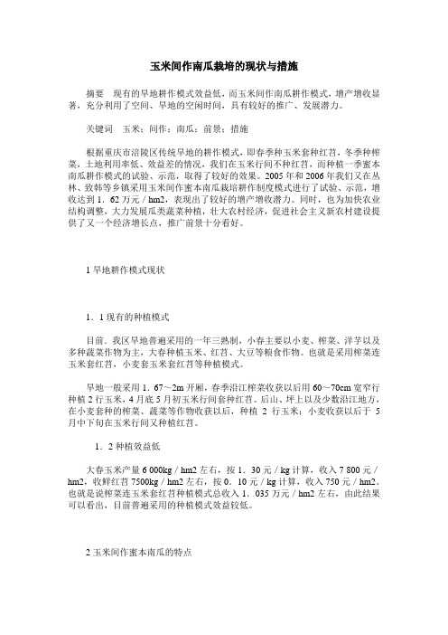 玉米间作南瓜栽培的现状与措施