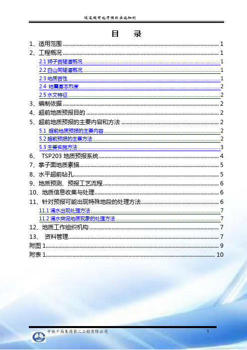 超前地质预报实施细则(经典版)