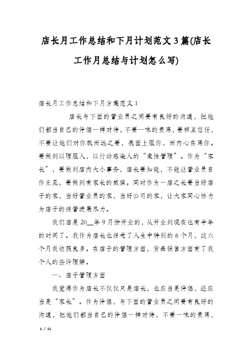 店长月工作总结和下月计划范文3篇(店长工作月总结与计划怎么写)