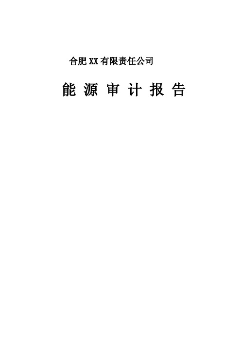 合肥xx有限责任公司能源审计报告doc106