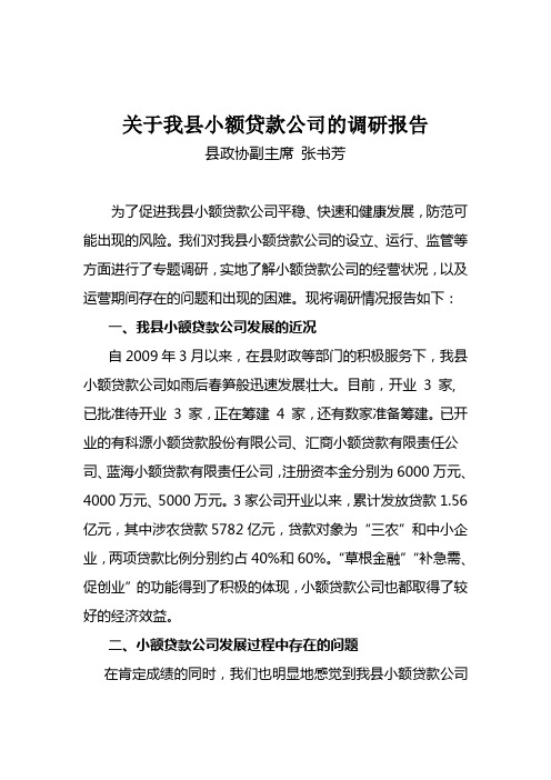 关于我县小额贷款公司的调研报告