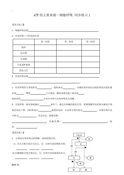 新人教版高中生物必修1ATP的主要来源 细胞呼吸 同步练习3