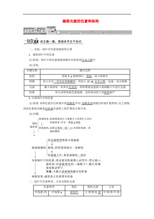 2019高中生物第5章第4节第1课时捕获光能的色素和结构教案新人教版必修