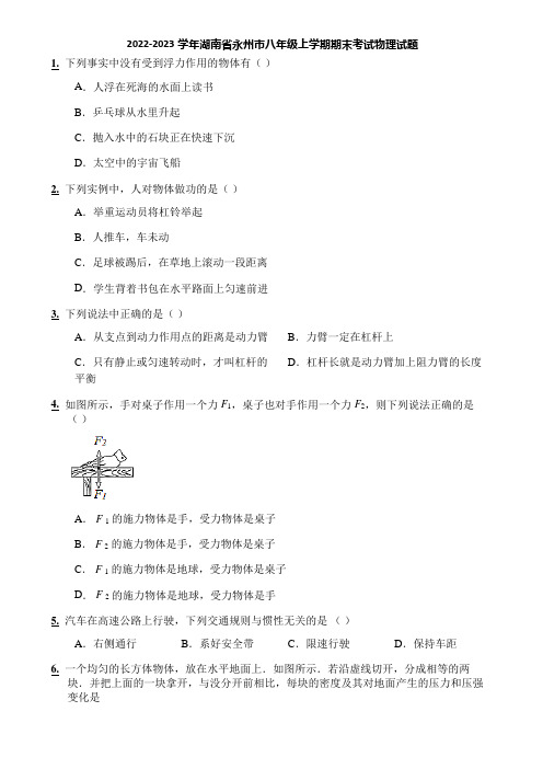 2022-2023学年湖南省永州市八年级上学期期末考试物理试题