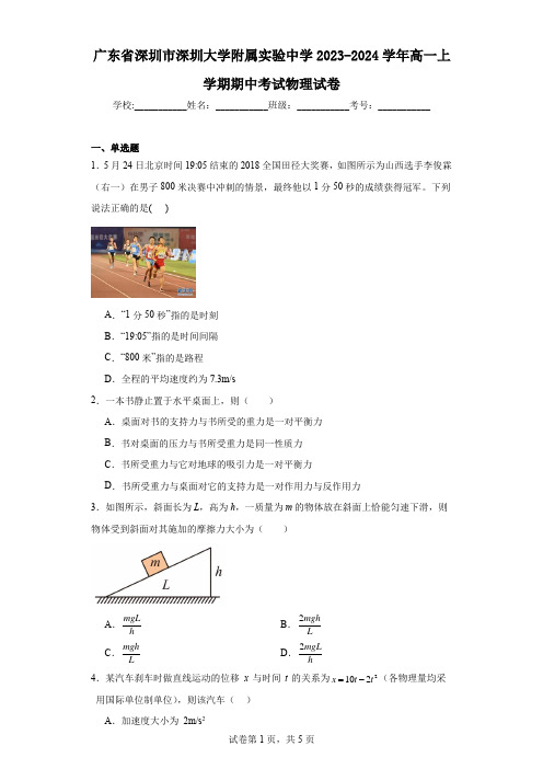 广东省深圳市深圳大学附属实验中学2023-2024学年高一上学期期中考试物理试卷