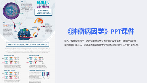 《肿瘤病因学》课件