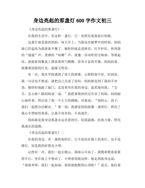 身边亮起的那盏灯600字作文初三