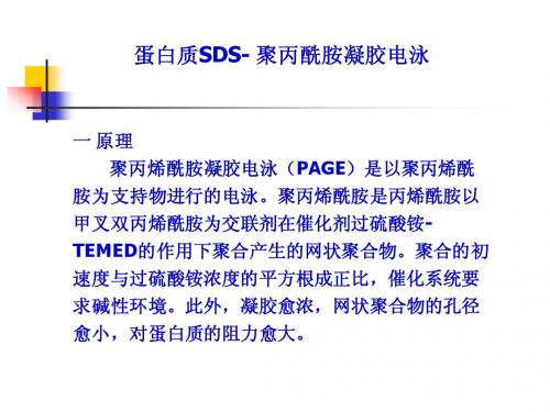 SDS-PAGE