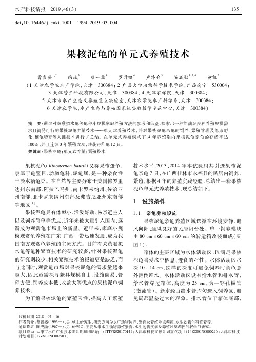 果核泥龟的单元式养殖技术