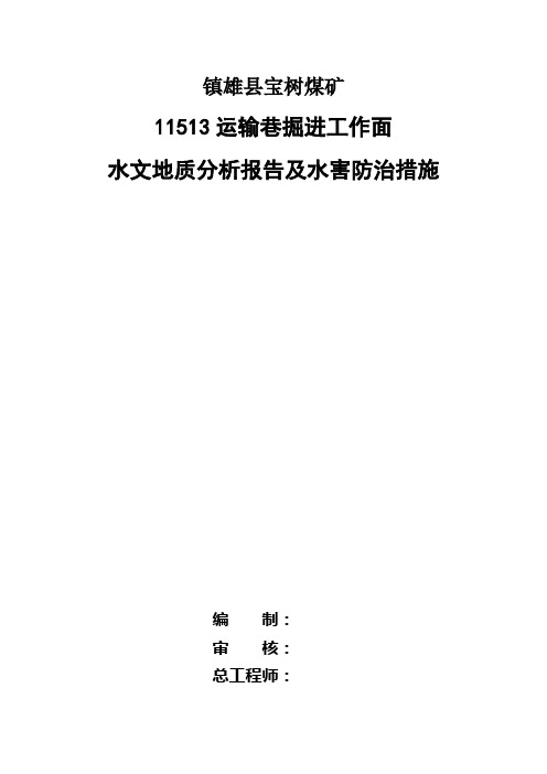 11513运输巷掘进工作面水文地质分析报告