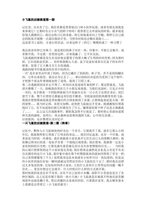 一只飞鼠