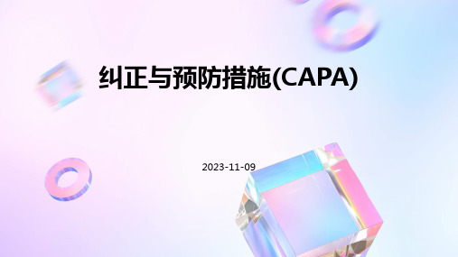 纠正与预防措施(CAPA)