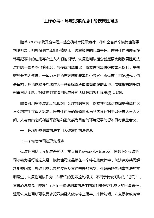 工作心得：环境犯罪治理中的恢复性司法