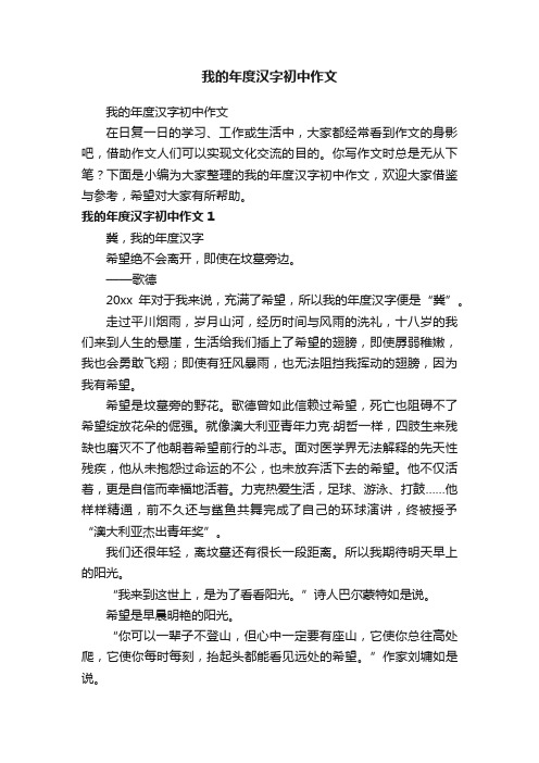 我的年度汉字初中作文