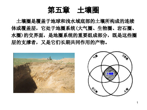 第五章 土壤圈