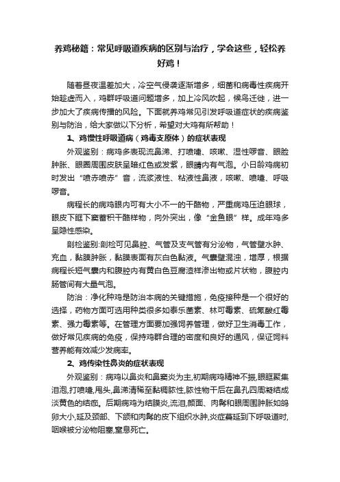 养鸡秘籍:常见呼吸道疾病的区别与治疗,学会这些,轻松养好鸡!