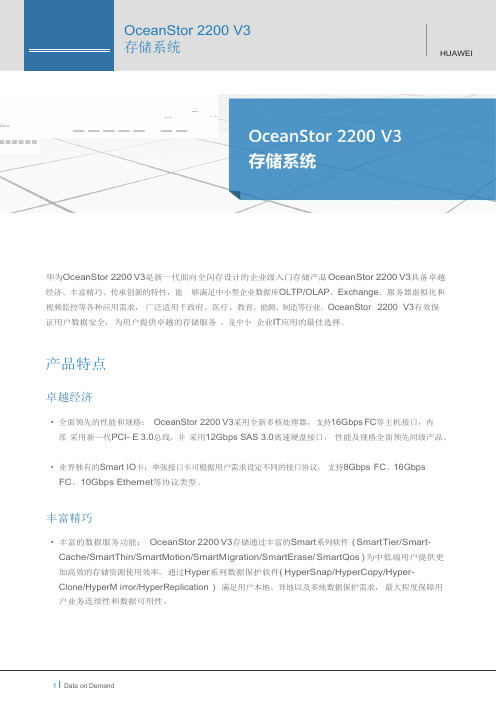 OceanStor2200存储系统技术白皮书