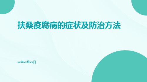 扶桑疫腐病的症状及防治方法