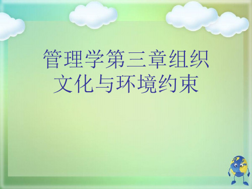 管理学第三章组织文化与环境约束优秀PPT