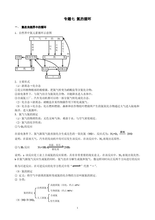 高考化学专题七 氮的循环