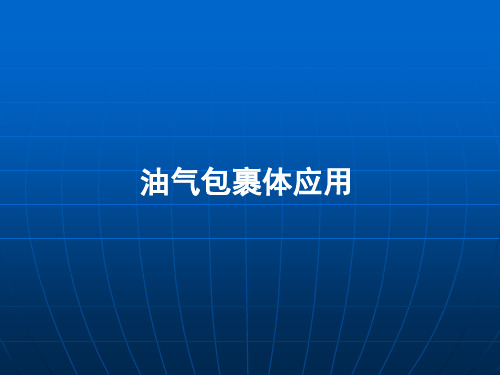 5 油气包裹体研究