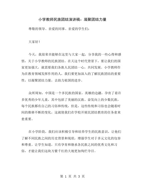 小学教师民族团结演讲稿：凝聚团结力量