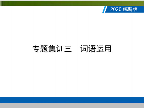 广东中考语文复习课件专题集训三 词语运用精品PPT(共58张PPT)