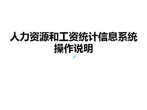 人力资源和工资统计信息系统操作说明