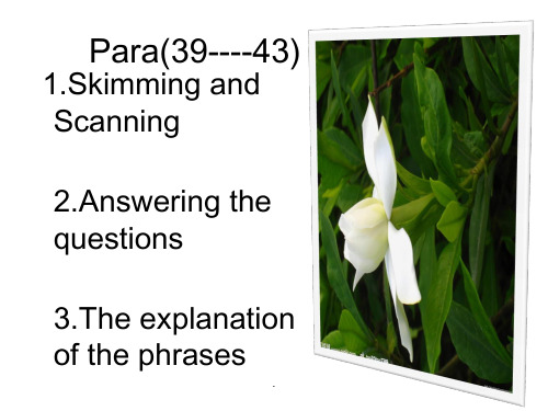 高级英语第六册Lesson4《nettles》Para(39---43)详解PPT课件