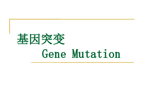 遗传学课件基因突变