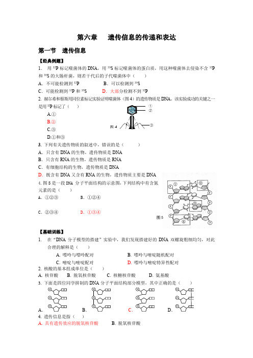 2021年上海生命科学合格考章节复习第六章 遗传信息的传递和表达含答案