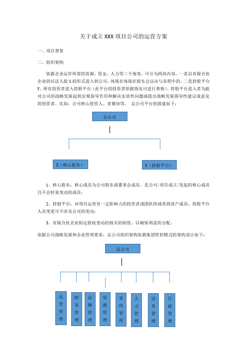 关于成立项目公司的运营方案