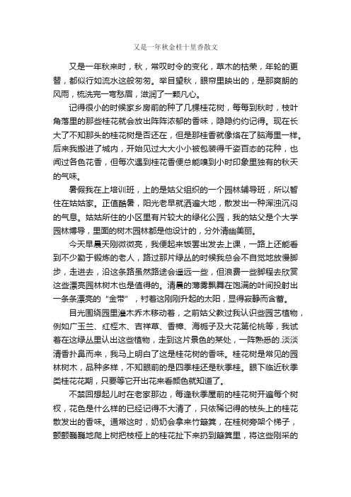 又是一年秋金桂十里香散文