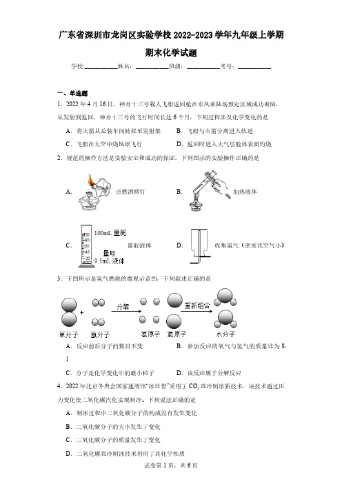 广东省深圳市龙岗区实验学校2022-2023学年九年级上学期期末化学试题