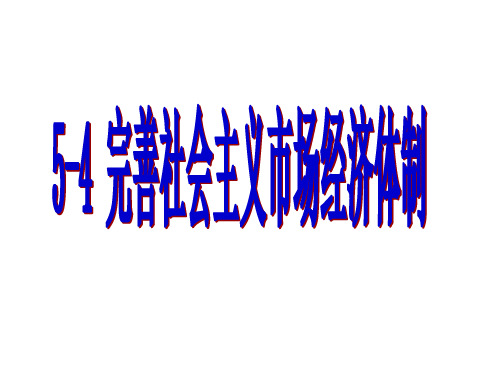 完善社会主义市场经济体制