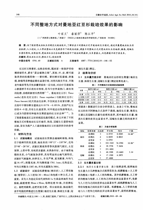 不同整地方式对曼地亚红豆杉栽培效果的影响