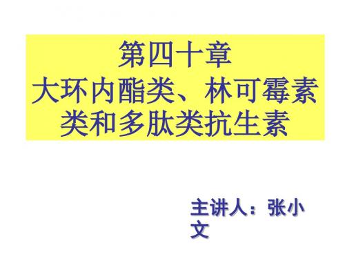 学习_第40章大环内酯类林可霉素类及多肽类抗生素