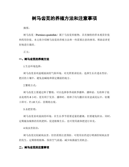 树马齿苋的养殖方法和注意事项